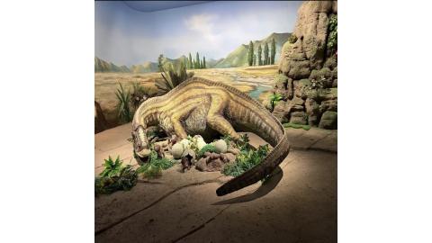 延吉恐龙博物馆